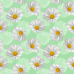 Seamless white flowers pattern. mint green background