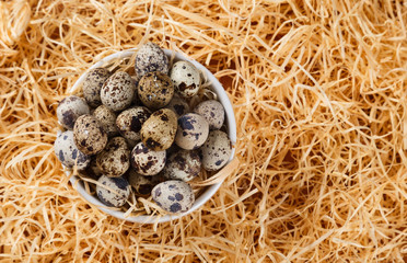 Obraz premium quail eggs on top of a straw background. top view