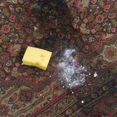 Killing mold on carpet