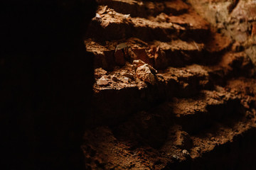 Crumbling brick in an old abandoned building