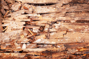 break in a rotten wooden floor