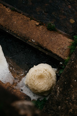
Dirty yellow water with foam on a water-dam. Splashing rusty water
