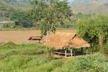 nature Thailande