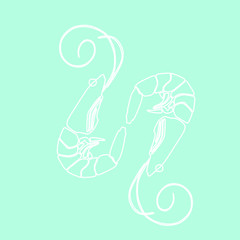 Vector shrimp, restaurant and cafe decoration. Shrimp with long antennae. White shrimp.
