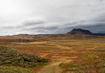 Landscape in Iceland with sheep and volcanoes