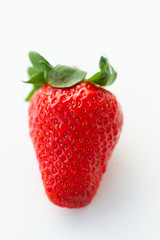 Close-up of berries on white background