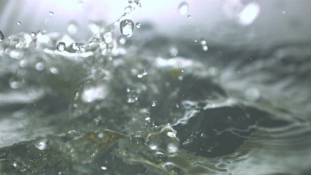 Corn cobs falling in water