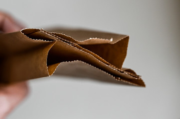 Kraft paper bag. large view