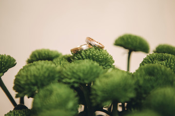 Wedding rings
