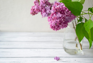 Blooming lilac branches in a glass vase on a white background.