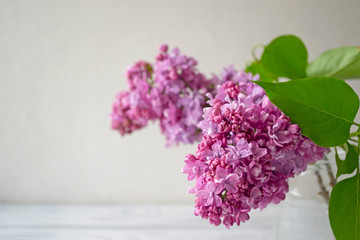 Lilac blooming bunch in a glass vase on grey background with copy space