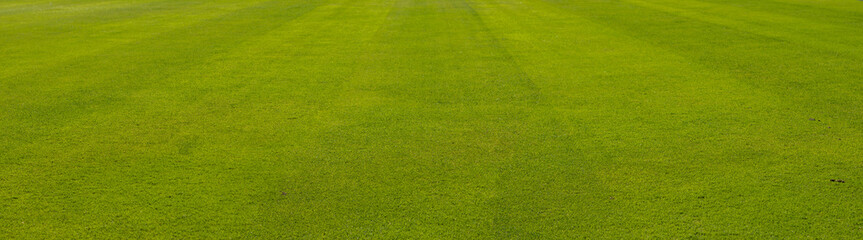 green grass with pattern from a soccer field