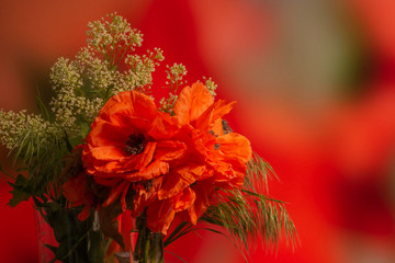bouquet of orange flowers poppies