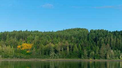 Annas Bay On Hood Canal, Puget Sound