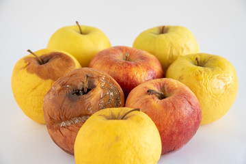Rotten unhealthy apples against a white background
