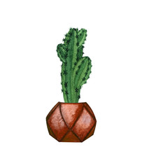 Watercolor botanical illustrations of potted houseplant. Cactus in a pot isolated on white background. Boho plant.