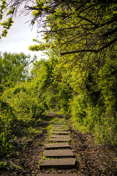 Pat Dolan Trail In Queens, NY