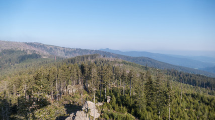 natural landscape in the national park sumava in czech republic