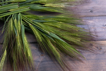 composition of green barley on a table