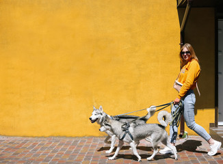 Isolated photo of girl walking with her pets siberian husky on orange background. Devotion, loyalty, soulmates, friendship with dog.