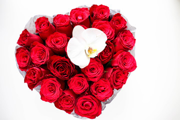 greeting card design. bouquet of red roses on a white background. congratulation. invitation