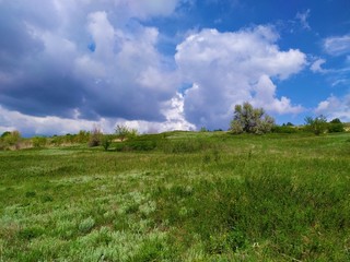 Green steppe meadows under a blue sky with white clouds
