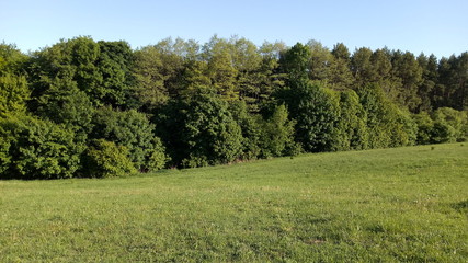 Field With Hills Near the Forest