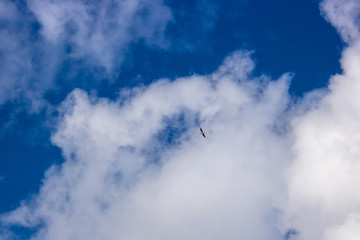 Beautiful blue sky with white clouds. Spring weather