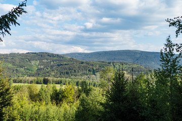 natural landscape in the national park sumava in czech republic