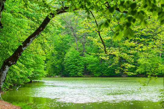 Parz Lich (Clear Lake) in Dilijan, Armenia