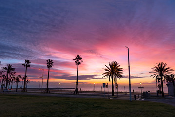 Morning with a beautiful pink sunrise on the city's waterfront in Barcelona. View of the promenade and the silhouettes of palm trees.