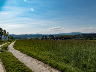 natural landscape in the national park sumava in czech republic