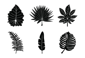 Jungle set vector Palm leaves Tropic vector Black  isolated objects Monstera leaves