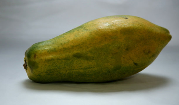 papaya farming