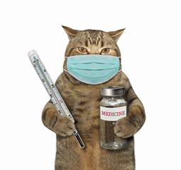 The beige cat in a surgical protection face mask is holding a thermometer and a bottle of medicine. Coronavirus. White background. Isolated.