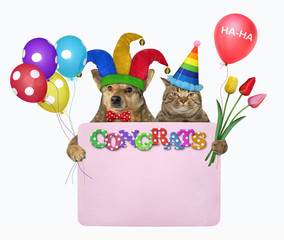 The dog in a jester hat and the cat in a birthday cap are holding a pink paper blank poster, flowers and multi-colored balloons. Congrats. White background. Isolated.