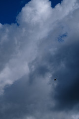 clouds in the sky