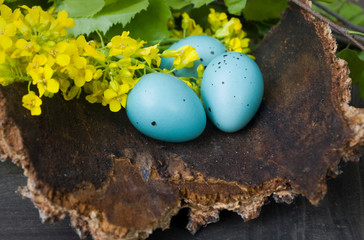 Blue thrush eggs still life