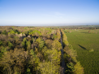 Forest and road seen from the air