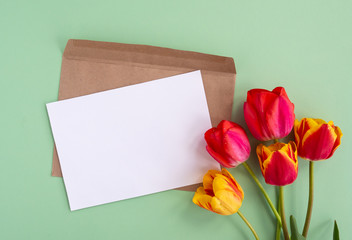 Red and yellow tulips flowers flat lay and empty mock up letter with envelope on pastel paper green background. Creative minimal spring or summer festive concept, top view, copy space