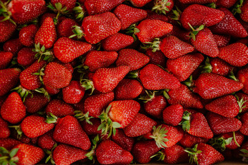 Ripe strawberries macro view