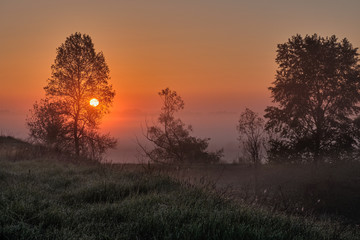 Obraz na płótnie Canvas sunrise on the field