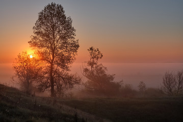Fototapeta na wymiar sunrise in the morning