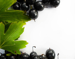 black currant and green leaves on a wooden background