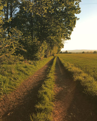 Naklejka premium Scottish Path