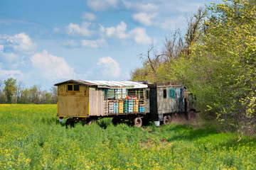 Fototapeta na wymiar Colorful mobile beehive or apiary in blossoming field. Apiculture