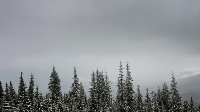 Winter time lapse in Carpatian resort, 4k timelapse, photographed on Nikon D800 camera.