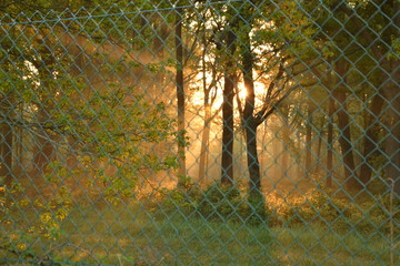 barbed wire fence