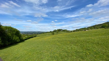 Fototapeta na wymiar green field and blue sky cotswolds england