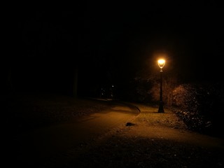 Rosengarten Mainz Laternen in der Nacht